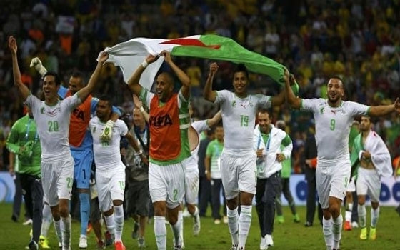   مصر اليوم - منتخب الجزائر يحتل المركز 13 في المونديال