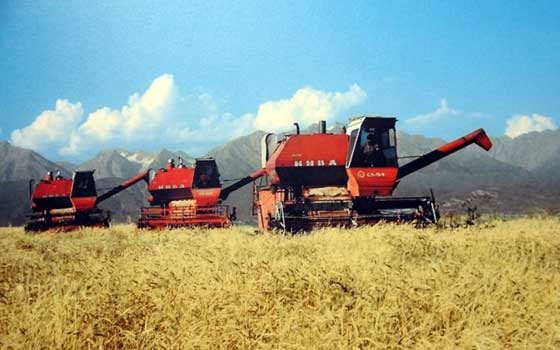   مصر اليوم - صادرات روسيا من الحبوب في موسم بلغت 26 مليون طن