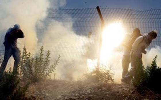   مصر اليوم - مصر: إتصالات مكثفة لتهدئة الأوضاع في الأراضي المحتلة