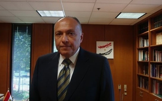   مصر اليوم - سامح شكري: الكفاءة والعمل معايير لتقييم الأداء في الوزارة