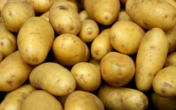   مصر اليوم - أكثر من 10 آلاف دولار من التبرعات على الإنترنت لإعداد سلطة بطاطا