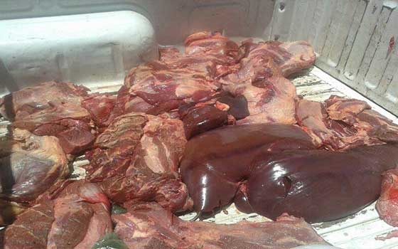   مصر اليوم - ضبط ربع طن اللّحوم والأغذيَّة غير الصالحة في الإسماعيليَّة