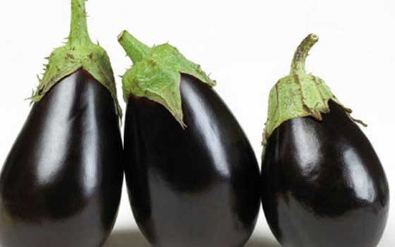   مصر اليوم - تناول الباذنجان يساعد على حرق الدهون في الجسم