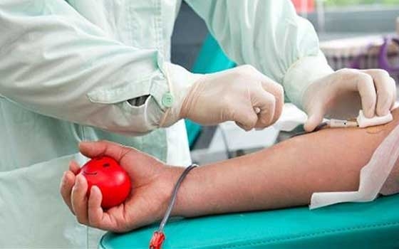   مصر اليوم - المستشفيات في ألمانيا لم تعد في حاجة ماسة إلى التبرع بالدم