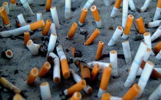   مصر اليوم - منظمة الصحة العالميَّة تؤكّد أنّ التدخين يقتل 8 مليون شخص سنويًا