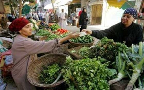   مصر اليوم - رئيس الوزراء يعلن بدء الحكومة في تنفيذ أكبر مشروع في الشرق الأوسط وأفريقيا