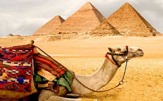   مصر اليوم - مصر تتعاون مع القناة الرابعة البريطانية لتصوير فيلم يروَج للسياحة المصرية