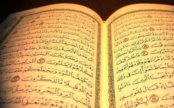   مصر اليوم - جمعية تحفيظ القرآن في الدرب السعودية تحتفي بالحافظين