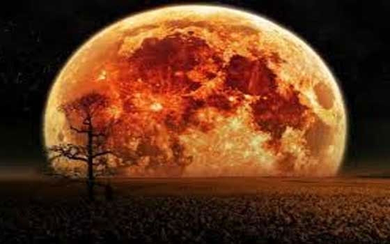   مصر اليوم - سكان الأرض يشاهدون ظاهرة القمر العملاق