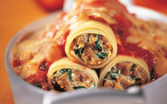   مصر اليوم - الكانيلوني