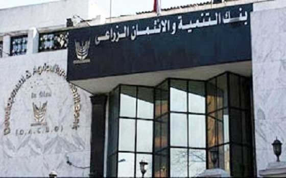   مصر اليوم - وقف الملاحقات القضائية للمتعثرين بالبنك الزراعي حتى نهاية 2014