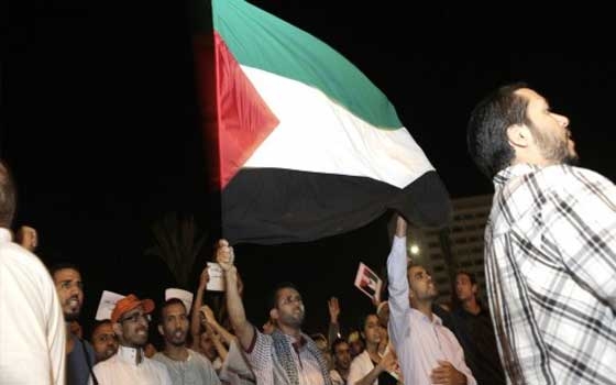   مصر اليوم - نشطاء السويس يتضامنون مع ضحايا غزّة