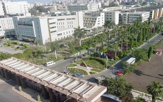   مصر اليوم - جامعة المنصورة تحتفل بعيد الفطر مع الطلاب