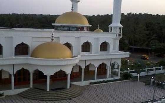   مصر اليوم - جامعة معدن الثقافة الإسلامية الهندية تحيي ذكرى وفاة الشيخ زايد