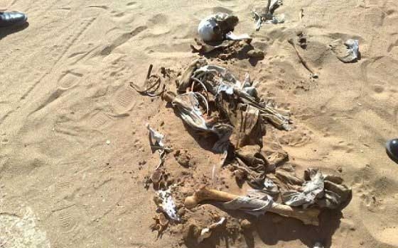   مصر اليوم - العثور على 12 جثة متحللة على شاطئ البحر في تاجوراء