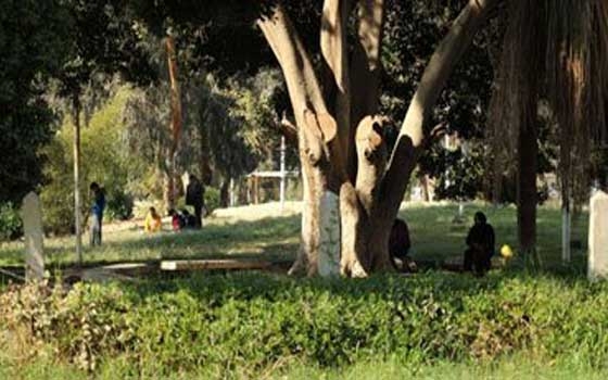 مصر اليوم - إقبال ضعيف على الحدائق والمنتزهات العامة في شمال سيناء