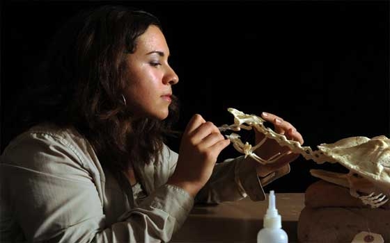   مصر اليوم - اكتشاف أقدم حفرية لأجسام متعددة الخلايا ترجع إلى 201 مليار سنة