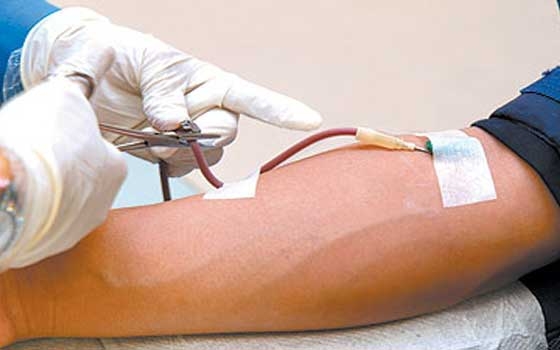   مصر اليوم - حملة للتبرع بالدم في بلدة النجيد في مدينة عبري العمانية