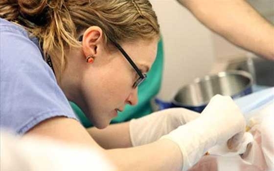   مصر اليوم - 170 ألف فتاة خضعن للختان في المملكة المتحدة