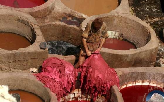   مصر اليوم - بدء تنفيذ مشروع لتعميق التصنيع المحلي لمعدات دباغة الجلود