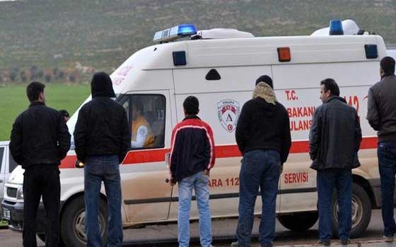   مصر اليوم - مقتل وإصابة 21 عاملاً بعد سقوط شجرة ضخمة عليهم وسط تركيا