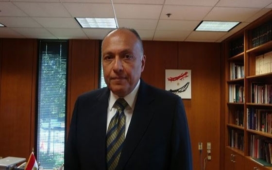   مصر اليوم - شكرى: الوضع فى سورية معقد ونامل فى ان يتم تجاوز الازمة سياسيًا