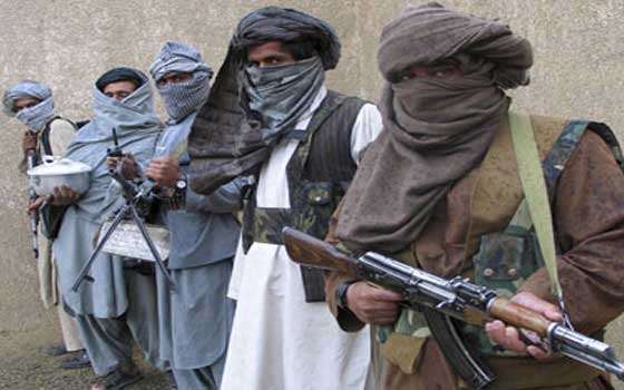   مصر اليوم - طالبان تنفي تورطها في هجوم باكتيكا الانتحاري