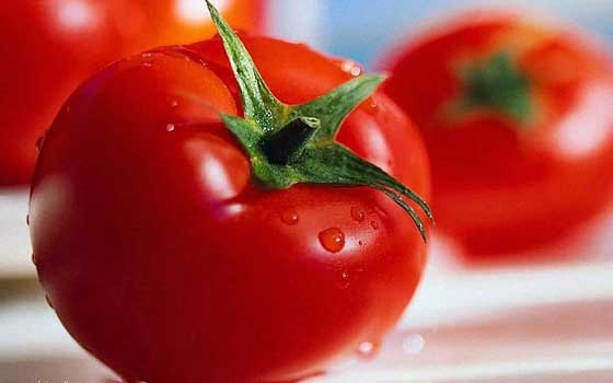   مصر اليوم - تناول الطماطم يقي من أمراض القلب