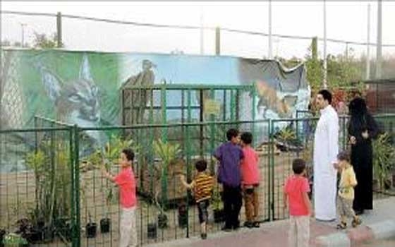   مصر اليوم - عروض الحيوانات النادرة تجذب زوار الباحة في السعودية