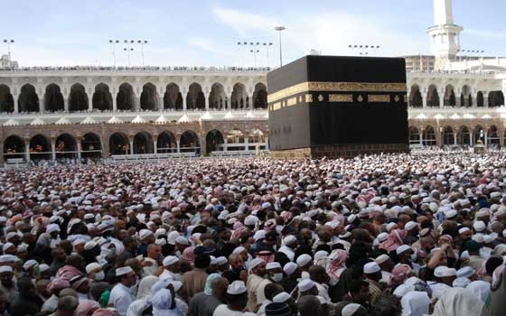   مصر اليوم - شركات السيّاحة تُطالب الوزير بتشكيل لجنة لفحص ملف الحج