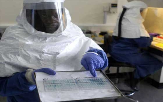   مصر اليوم - زيادة عدد الوفيات بسبب الإيبولا في سيراليون وليبيريا
