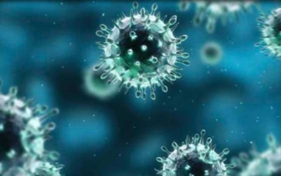   مصر اليوم - الصحة السودانية تؤكد خلو القادمين من السعودية من الإصابة بكورونا