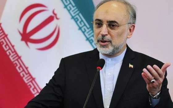   مصر اليوم - ظريف يبدي استياءه من عدم تحرك الامم المتحدة لوقف جرائم إسرائيل