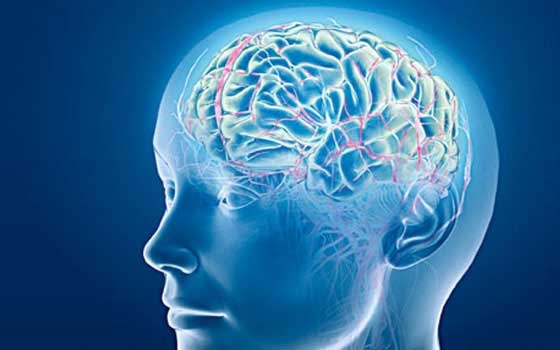   مصر اليوم - الاجهاد والاكتئاب قد يعززان مخاطر السكتات الدماغية