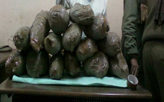   مصر اليوم - الإدارة العامة لمكافحة المخدرات تنجح في توجية ضربات للتجار