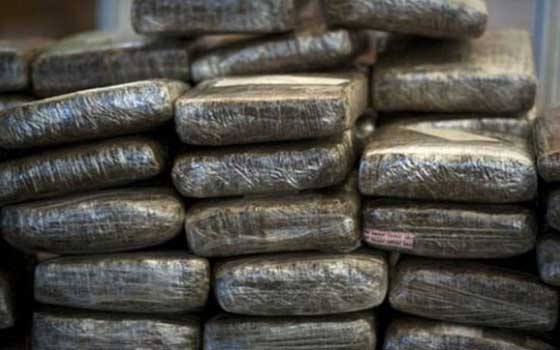   مصر اليوم - تفكيك شبكتي مخدرات على الحدود المغربية الأسبانية