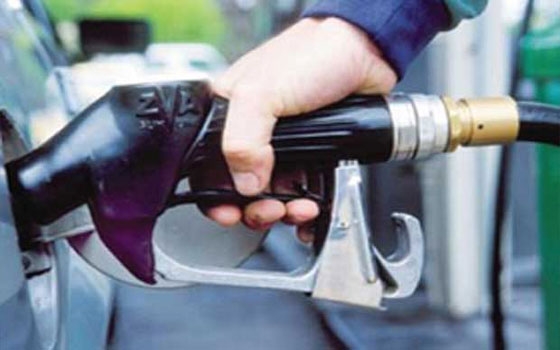   مصر اليوم - 15 ضبطًا تموينيًا لمحطات وقود ومخابز ومعتمدي توزيع خبز