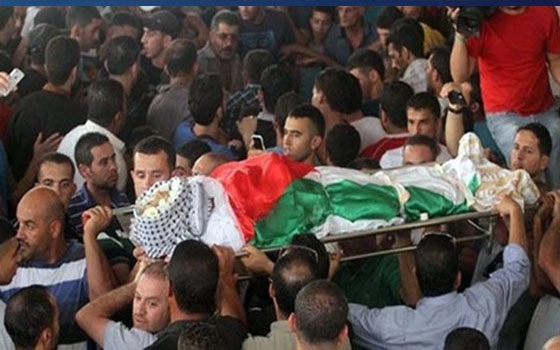   مصر اليوم - استشهاد 6 فلسطينيين في قصف إسرائيلي لخان يونس جنوب قطاع غزة