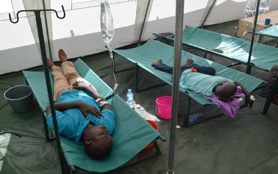   مصر اليوم - مقتل 200 شخص على الأقل بمرض الكوليرا في الكاميرون