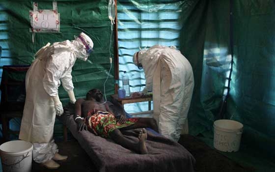   مصر اليوم - نيجيريا تنفي انتشار الإيبولا وليبيريا تعلق الأنشطة الرياضية بسبب الفيروس