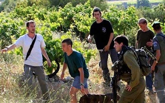   مصر اليوم - مستوطنون يهود يستولون على بيت قديم جنوب بيت لحم