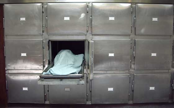   مصر اليوم - استشهاد مصابين فلسطينيين أثناء العلاج فى مستشفيات مصر