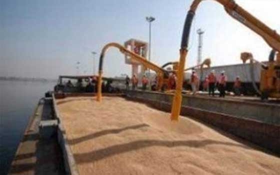   مصر اليوم - روسيا تعلن تحقيق معدلات قياسية في تصدير الحبوب