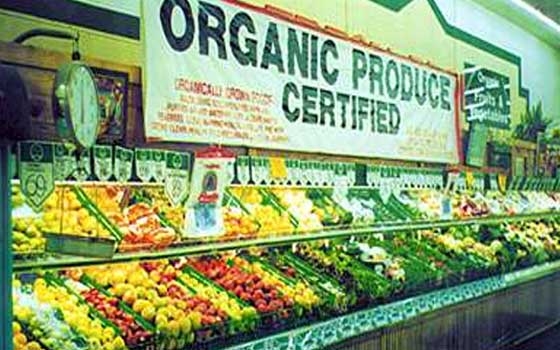   مصر اليوم - طفرة هائلة في مبيعات منتجات الغذاء العضوية في السويد