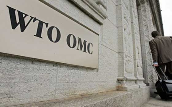   مصر اليوم - مفاوضات في منظمة التجارة العالمية حول السلع البيئية