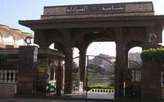   مصر اليوم - مساعدات طبية من نقابة الصيادلة المصرية لقطاع غزة