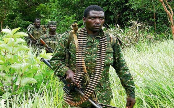 مصر اليوم - قتل 17 في هجمات على مراكز للشرطة في أوغندا