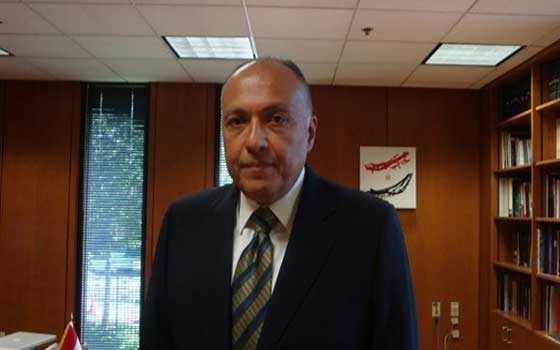   مصر اليوم - مطالبة وزراء الخارجية العرب بدعم المبادرة المصرية لوقف العدوان الاسرائيلي