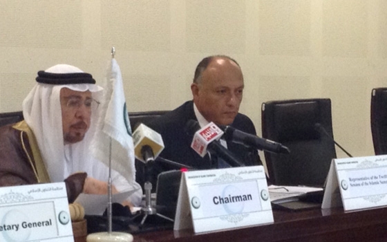   مصر اليوم - سامح شكري يبيّن الجهود المصريّة في وقف العدوان على فلسطين