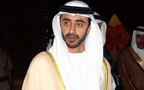   مصر اليوم - وزير خارجية الإمارات يتضامن مع أطفال غزة ضد الاحتلال